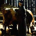 womanwithcow2.JPG 200x199
